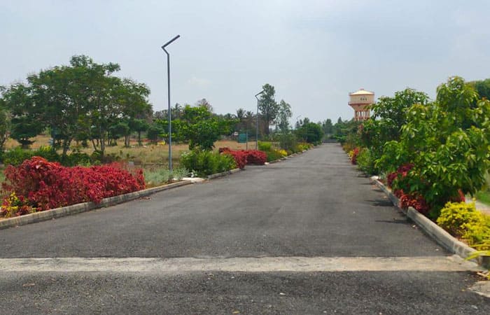 eka2-2